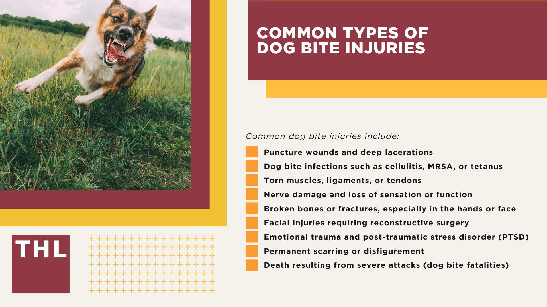 Meet Our Team of Experienced Chicago Dog Bite Attorneys; What To Do After a Dog Bite Incident in Chicago, IL; Gathering Evidence for Animal Attack Lawsuits; Damages in a Dog Bite Case; The Legal Process for an Illinois Dog Bite Claim; Illinois Dog Bite Laws and Chicago Dog Ordinances Explained; Common Types of Dog Bite Injuries