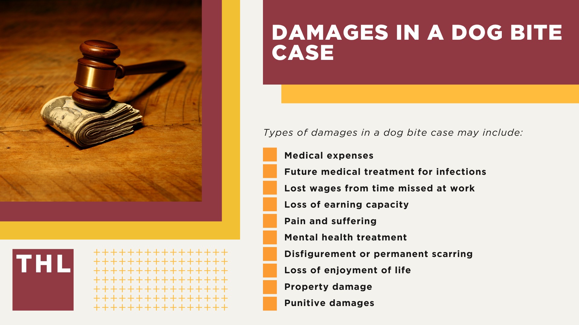 Meet Our Team of Experienced Chicago Dog Bite Attorneys; What To Do After a Dog Bite Incident in Chicago, IL; Gathering Evidence for Animal Attack Lawsuits; Damages in a Dog Bite Case