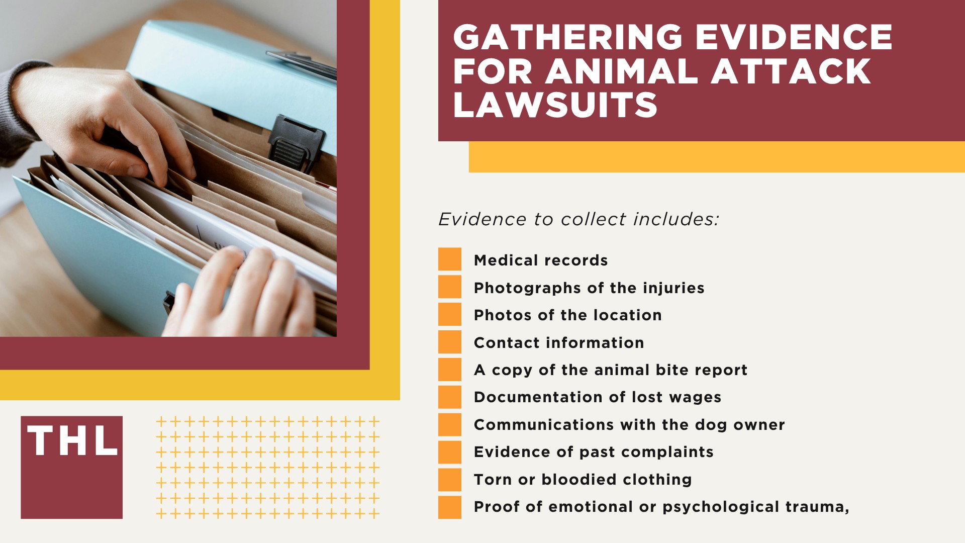 Meet Our Team of Experienced Chicago Dog Bite Attorneys; What To Do After a Dog Bite Incident in Chicago, IL; Gathering Evidence for Animal Attack Lawsuits
