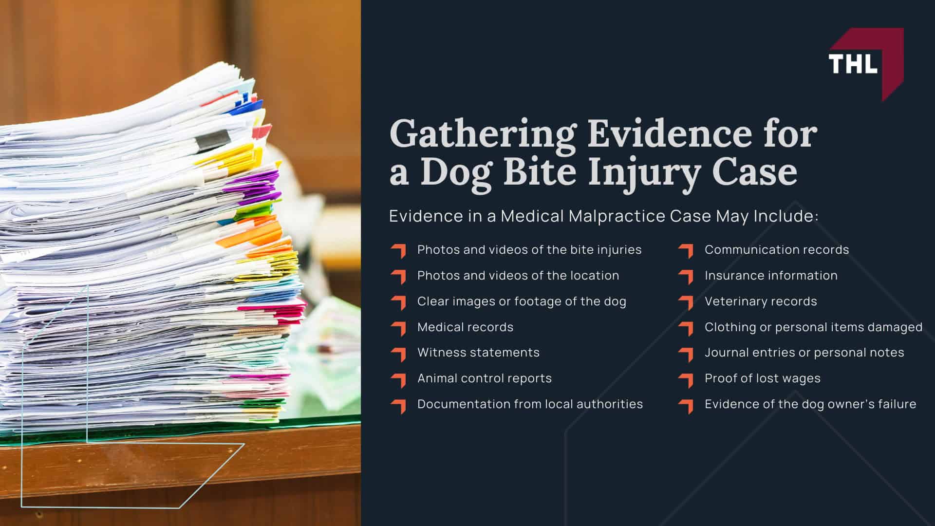 Gathering Evidence for a Dog Bite Injury Case