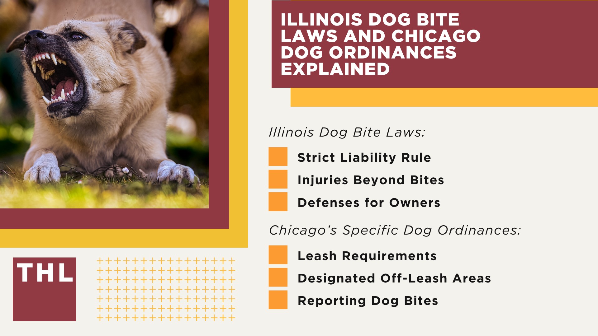 Meet Our Team of Experienced Chicago Dog Bite Attorneys; What To Do After a Dog Bite Incident in Chicago, IL; Gathering Evidence for Animal Attack Lawsuits; Damages in a Dog Bite Case; The Legal Process for an Illinois Dog Bite Claim; Illinois Dog Bite Laws and Chicago Dog Ordinances Explained
