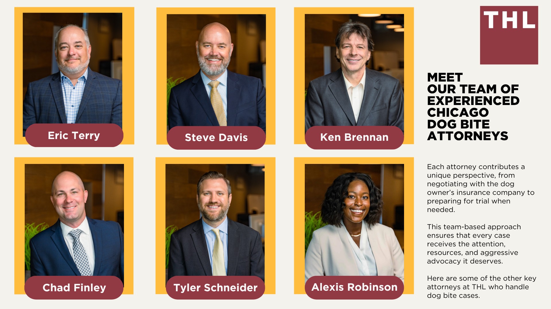 Meet Our Team of Experienced Chicago Dog Bite Attorneys