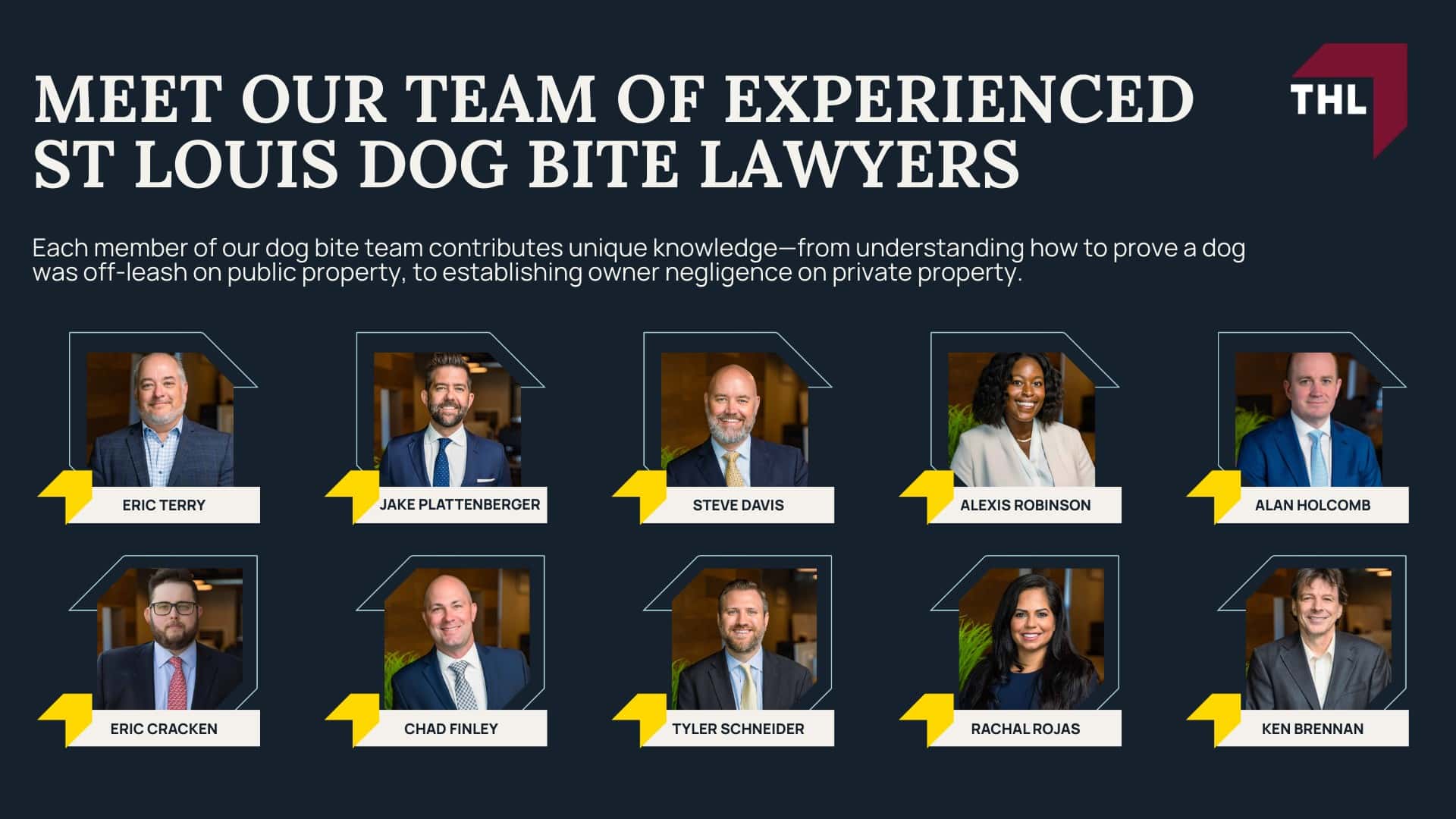 Meet Our Team of Experienced St Louis Dog Bite Lawyers