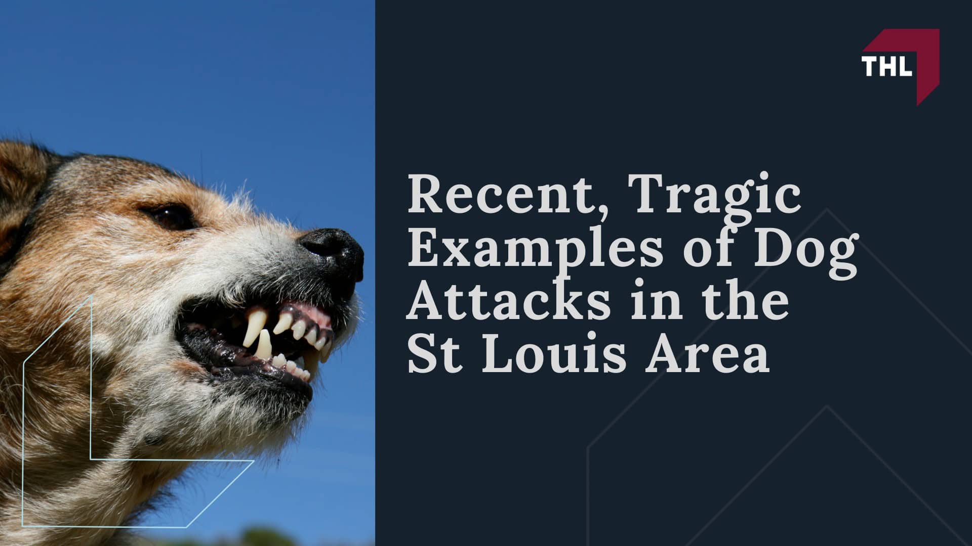 Tragic Examples of Dog Attacks in the St Louis Area