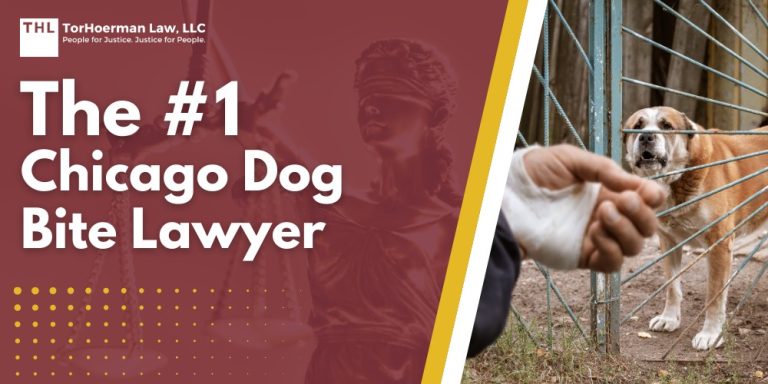 The #1 Chicago Dog Bite Lawyer; Meet Our Team of Experienced Chicago Dog Bite Attorneys; What To Do After a Dog Bite Incident in Chicago, IL; Gathering Evidence for Animal Attack Lawsuits; Damages in a Dog Bite Case; The Legal Process for an Illinois Dog Bite Claim; Illinois Dog Bite Laws and Chicago Dog Ordinances Explained; Common Types of Dog Bite Injuries; Do You Qualify for a Dog Bite Claim; TorHoerman Law_ Chicago Dog Bite Attorneys
