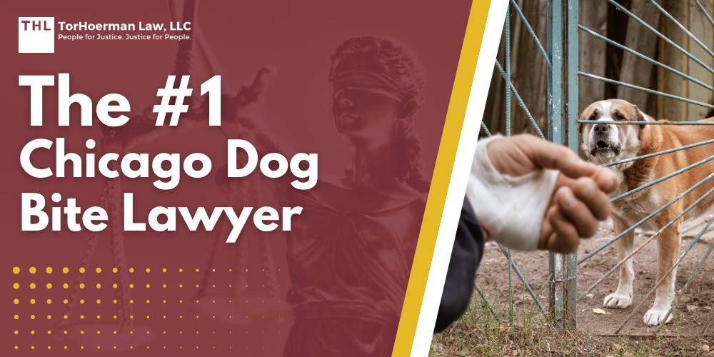 The #1 Chicago Dog Bite Lawyer; Meet Our Team of Experienced Chicago Dog Bite Attorneys; What To Do After a Dog Bite Incident in Chicago, IL; Gathering Evidence for Animal Attack Lawsuits; Damages in a Dog Bite Case; The Legal Process for an Illinois Dog Bite Claim; Illinois Dog Bite Laws and Chicago Dog Ordinances Explained; Common Types of Dog Bite Injuries; Do You Qualify for a Dog Bite Claim; TorHoerman Law_ Chicago Dog Bite Attorneys