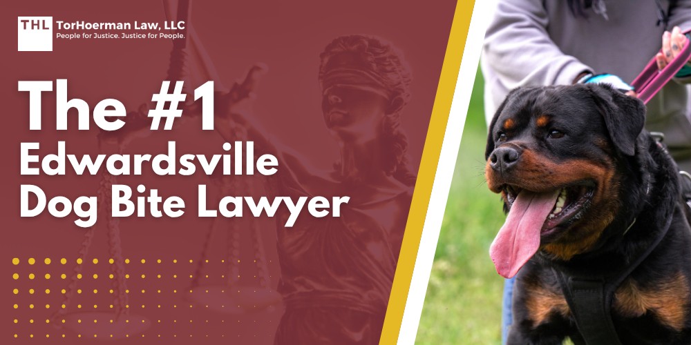 The #1 Edwardsville Dog Bite Lawyer; Meet Our Team of Experienced Edwardsville Dog Bite Attorneys; What To Do After a Dog Attack in Edwardsville, IL; The Legal Process for a Dog Bite Lawsuit in Edwardsville, IL; Gathering Evidence for a Dog Bite Claim; Damages in a Dog Bite Lawsuit; Common Types of Dog Bite Injuries; Do You Qualify for a Dog Bite Claim; TorHoerman Law_ Edwardsville Dog Bite Law Firm