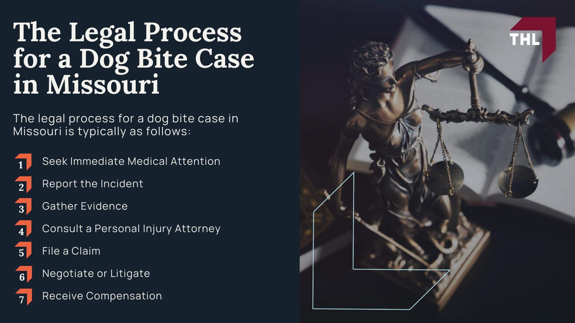 The Legal Process for a Dog Bite Case in Missouri