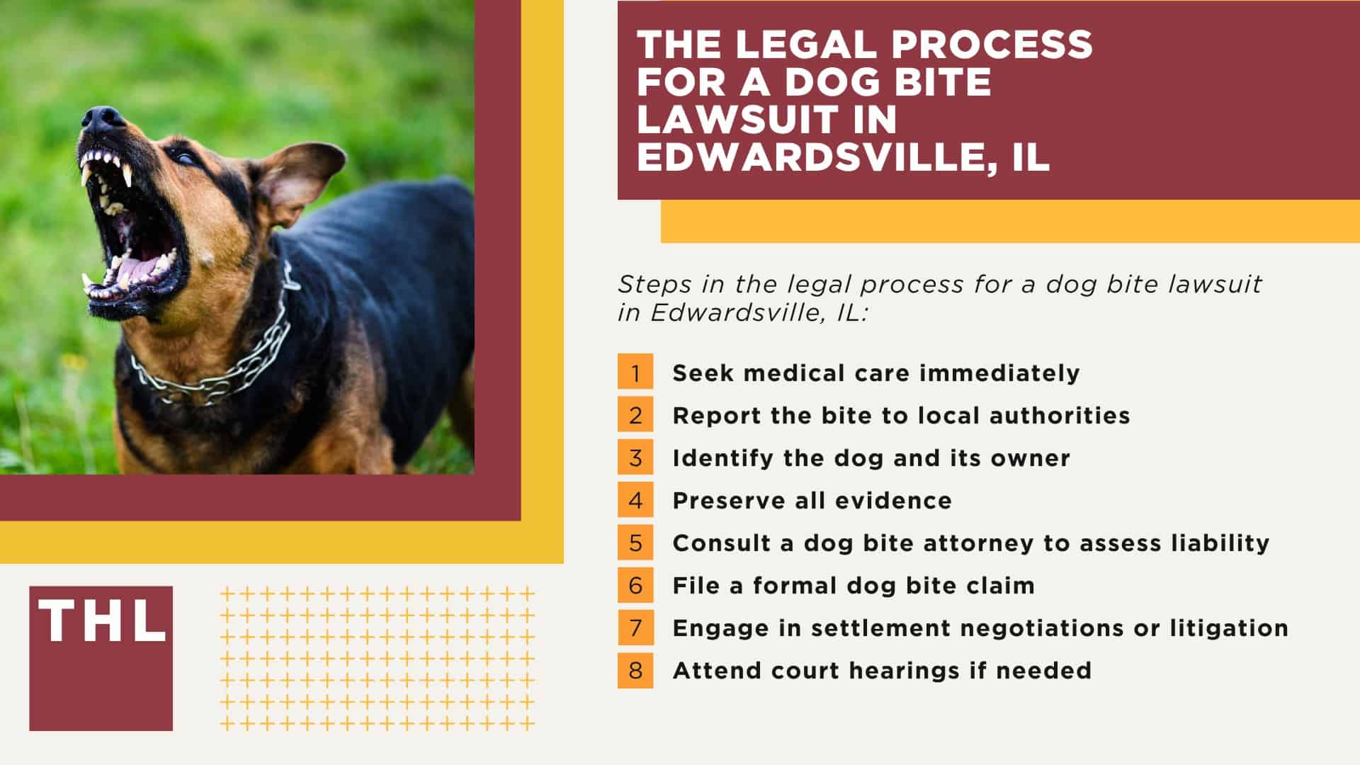 The Legal Process for a Dog Bite Lawsuit in Edwardsville, IL