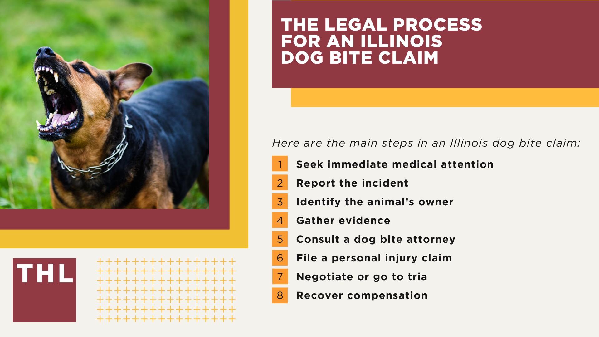 Meet Our Team of Experienced Chicago Dog Bite Attorneys; What To Do After a Dog Bite Incident in Chicago, IL; Gathering Evidence for Animal Attack Lawsuits; Damages in a Dog Bite Case; The Legal Process for an Illinois Dog Bite Claim