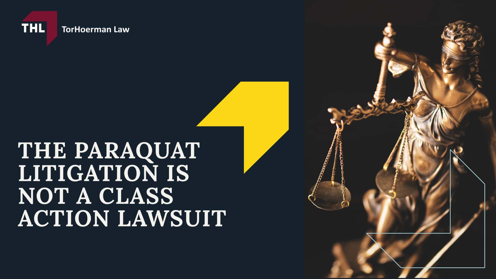 What Is The Paraquat MDL - What is the Paraquat Multidistrict Litigation (MDL) - torhoerman law; What Is The Paraquat MDL - The Paraquat Litigation is NOT a Class Action Lawsuit - torhoerman law