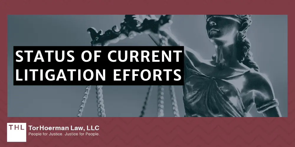 Status Of Current Litigation Efforts