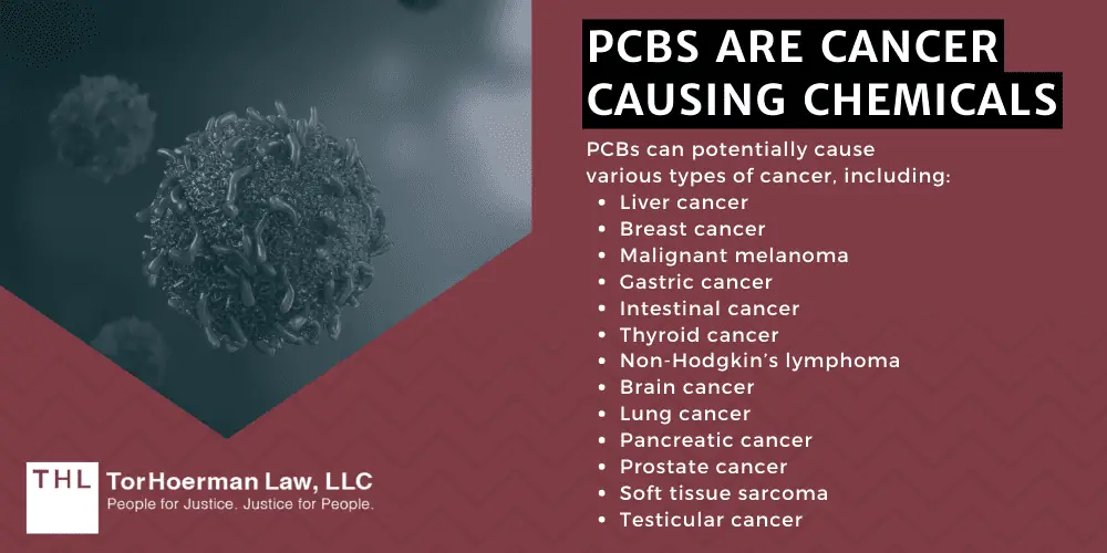 Are PCBs Banned; PCB Exposure; PCB Exposures; Exposure to PCBs; PCB Regulations; Toxic Substances Control Act; PCB Contamination; Are PCBs Banned In The United States; Historical Context Of Polychlorinated Biphenyls (PCBs); Chemical Information On PCBs; What Products Contain PCBs; Post-Ban Concerns_ PCB Exposure Risks; Potential Health Effects Of PCB Exposure; Non-Cancer Health Effects Of PCB Exposure; PCBs are Cancer Causing Chemicals