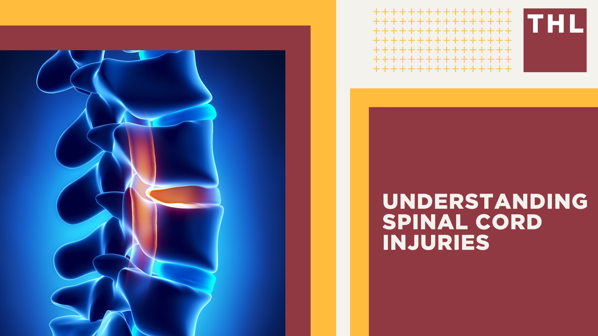 Understanding Spinal Cord Injuries