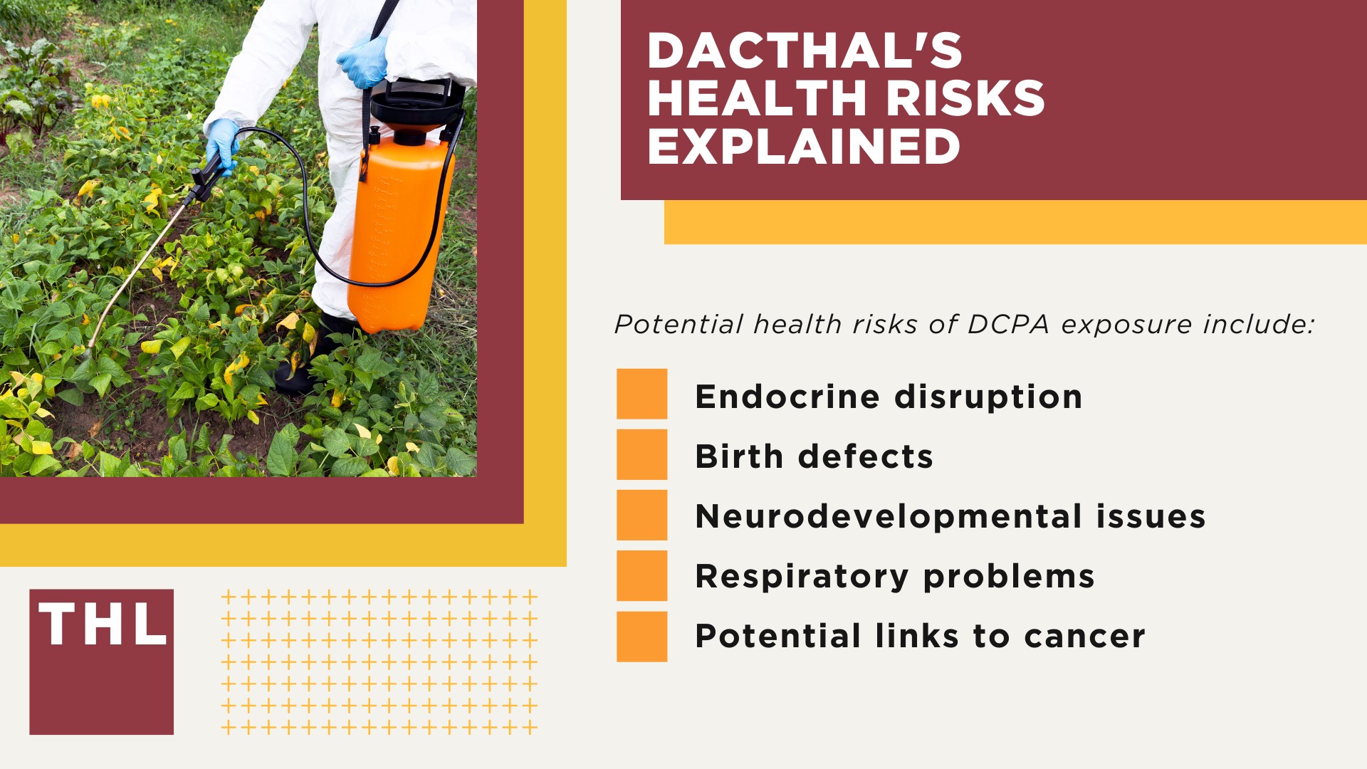 What is Dacthal (DCPA); Environmental Protection Agency (EPA) Bans Dacthal Due to Serious Risks; Dacthal's Health Risks Explained
