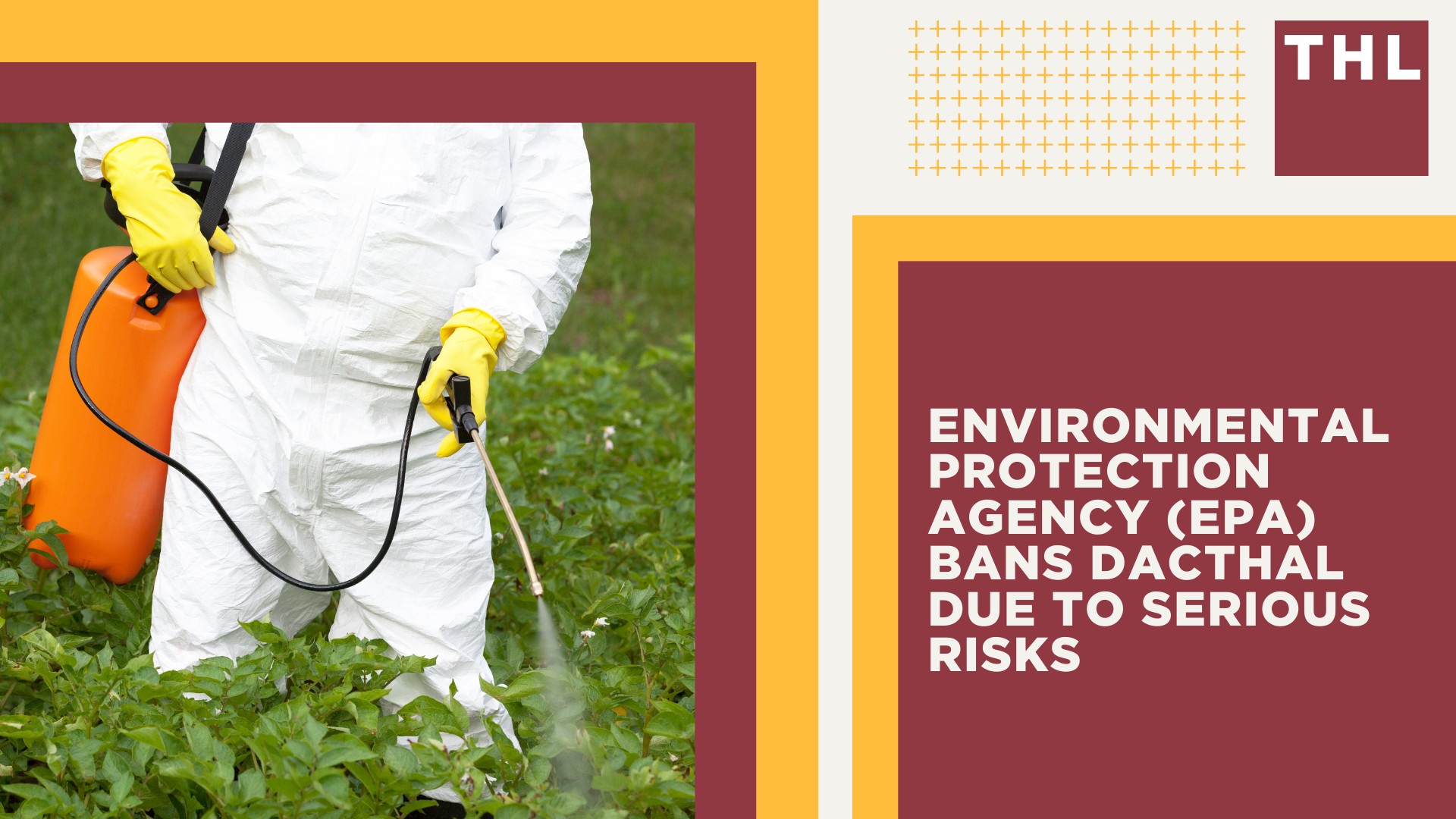 What is Dacthal (DCPA); Environmental Protection Agency (EPA) Bans Dacthal Due to Serious Risks