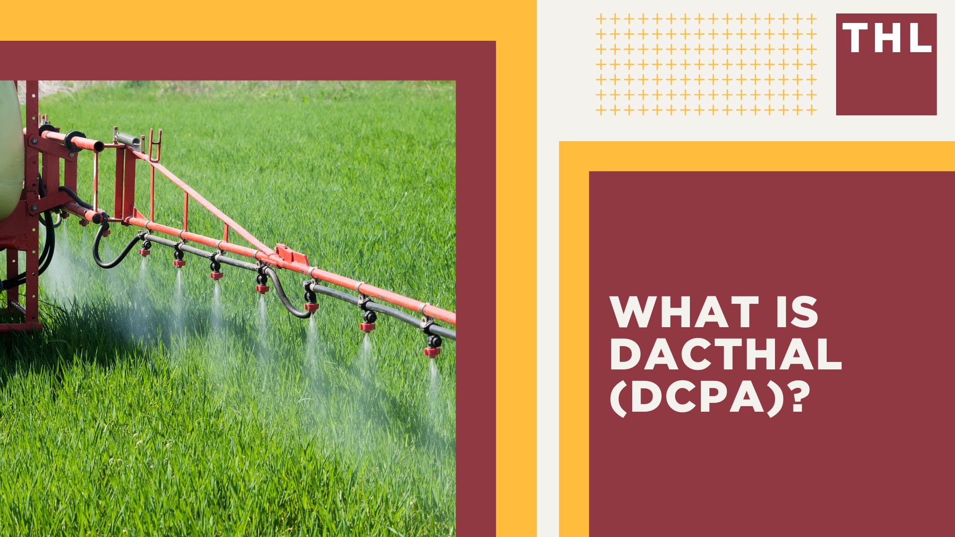 What is Dacthal (DCPA)