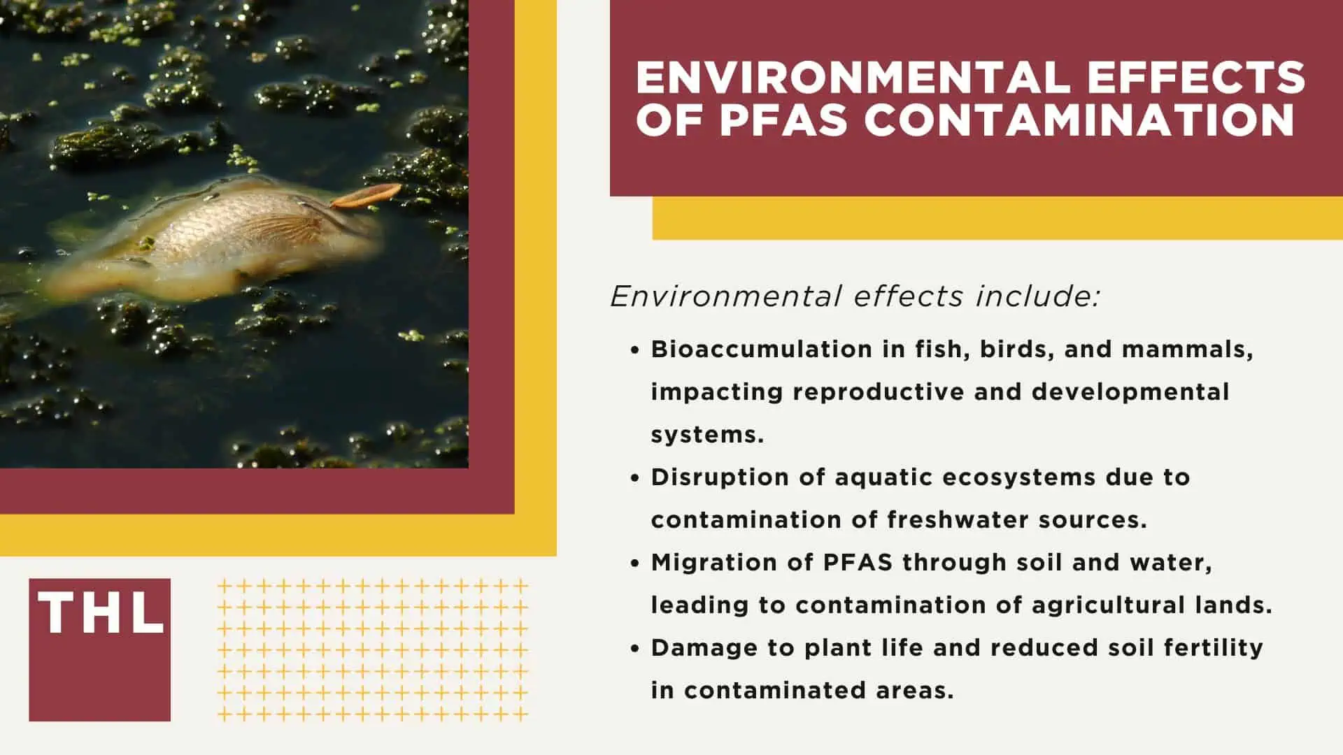 PFAS Water Contamination Lawsuit; PFAS (Forever Chemicals) Explained; Development and Application of PFAS Chemicals; Sources and Pathways of PFAS Contamination; Health and Environmental Impact of PFAS; Health Risks Associated With PFAS Exposure; Environmental Effects of PFAS Contamination