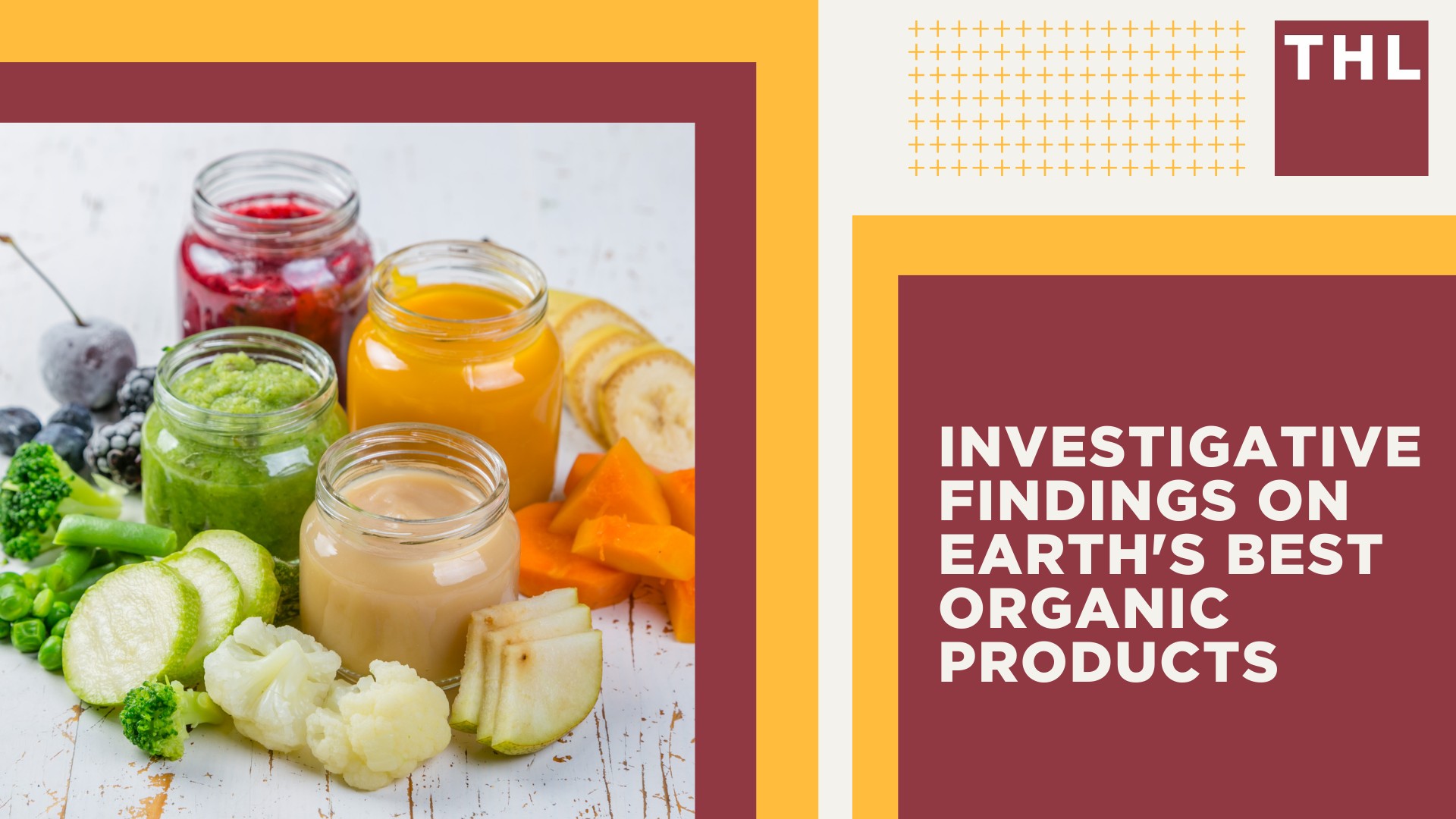 Investigative Findings on Earth's Best Organic Products