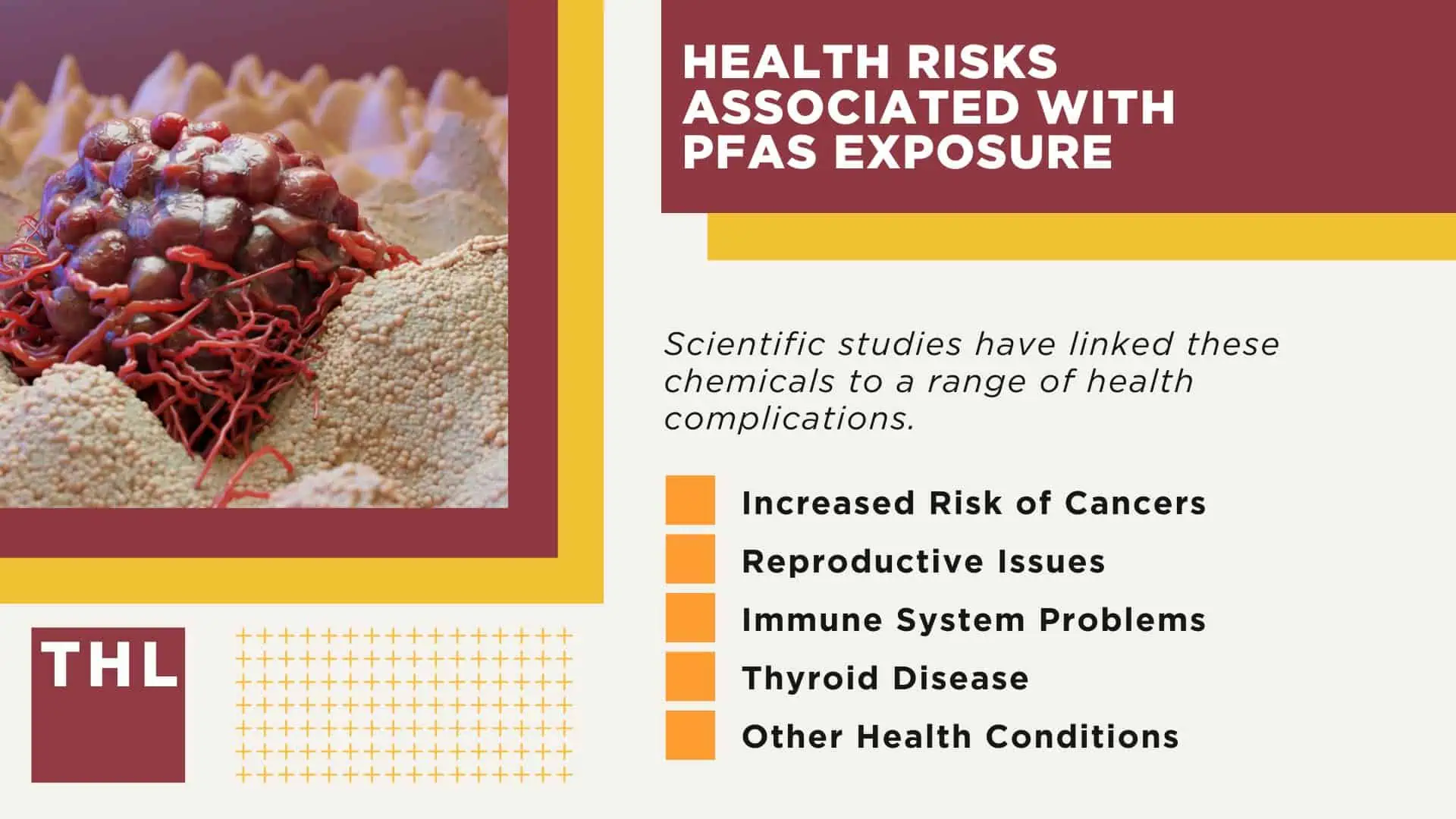 PFAS Military Lawsuit; What Are PFAS; PFAS on Military Bases; PFAS Exposure is a Nationwide Health Concern; Health Risks Associated With PFAS Exposure