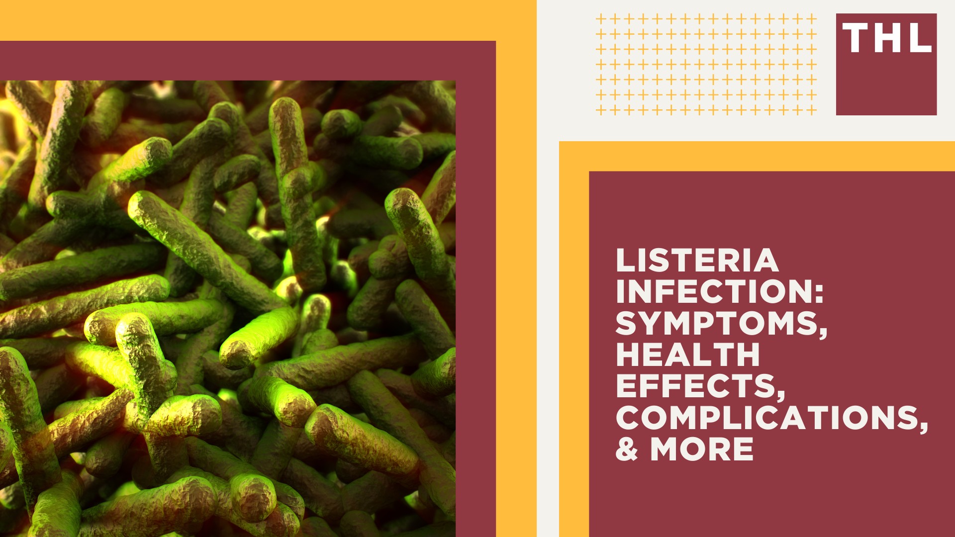 Recent Listeria Outbreaks and Food Recalls; How Do Listeria Outbreaks Happen; Listeria Infection_ Symptoms, Health Effects, Complications, & More