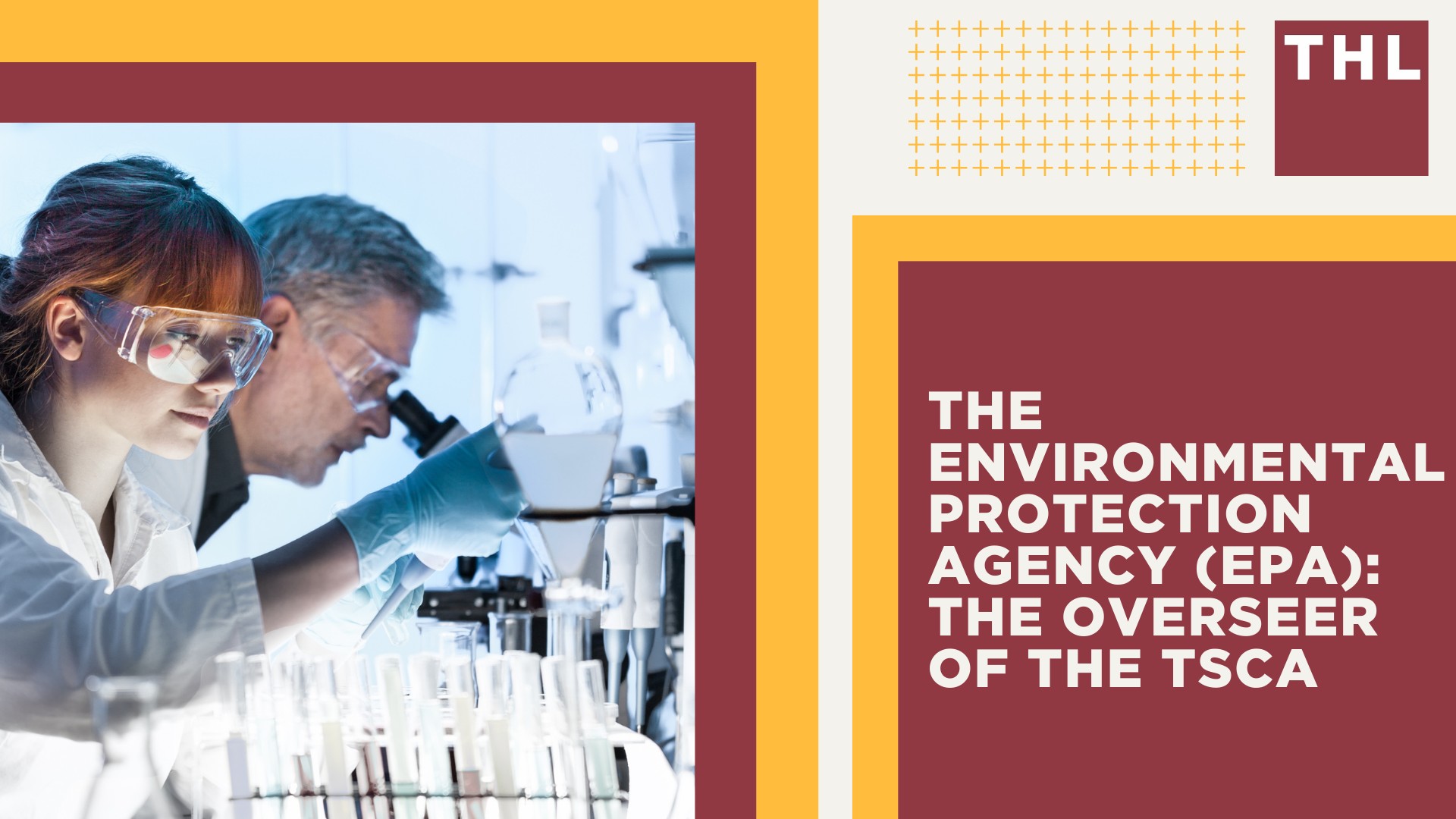 The Environmental Protection Agency (EPA)_ The Overseer of the TSCA