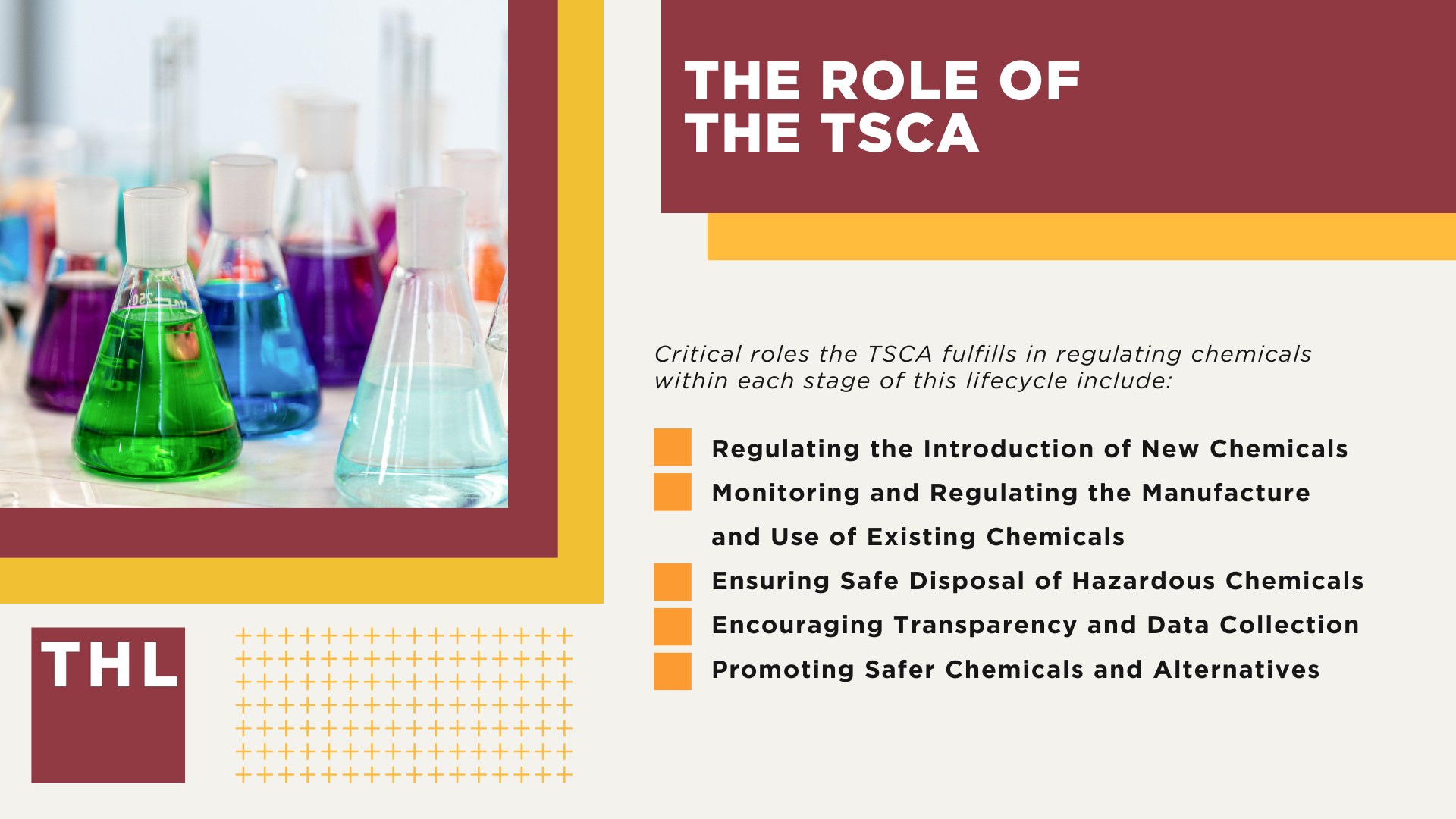 The Role of the TSCA