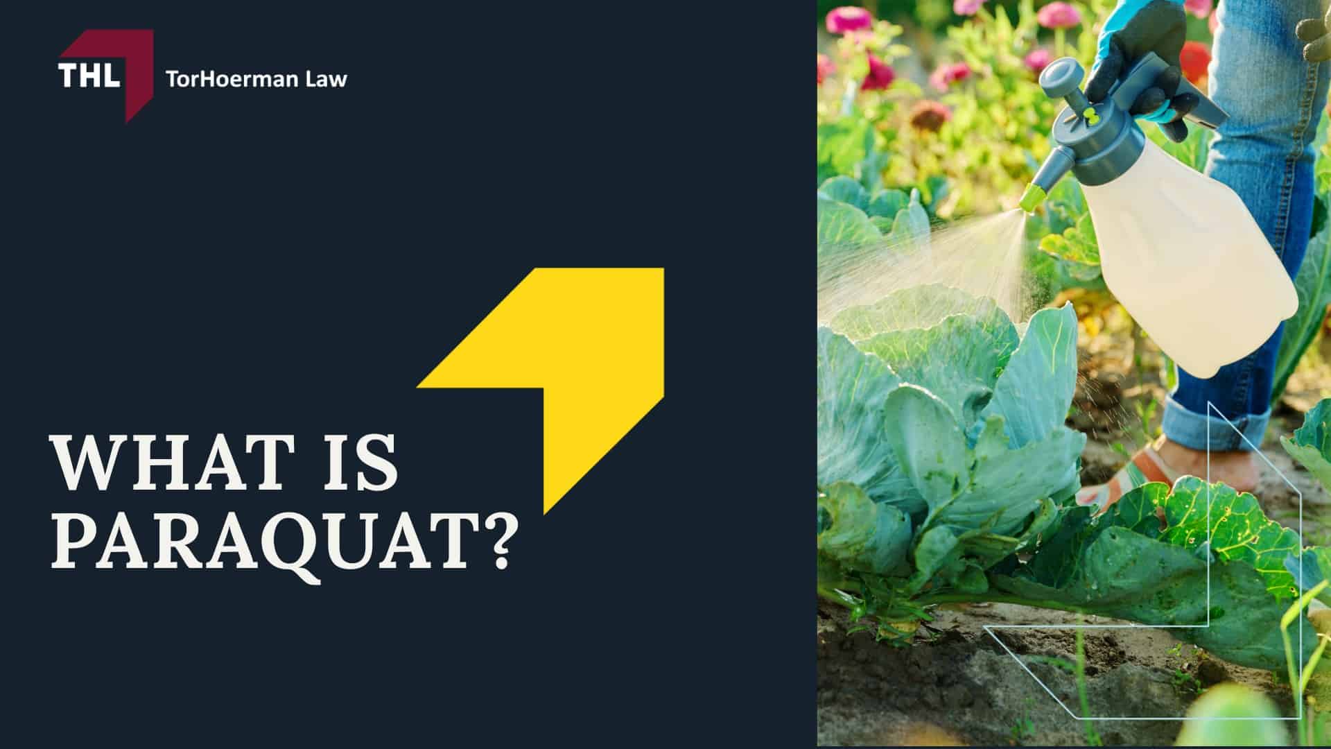 Paraquat Lawsuit Overview; How Many Paraquat Lawsuits Have Been Filed; Paraquat Lawsuit Updates and Status; Projected Paraquat Lawsuit Settlement Amounts; What is Paraquat