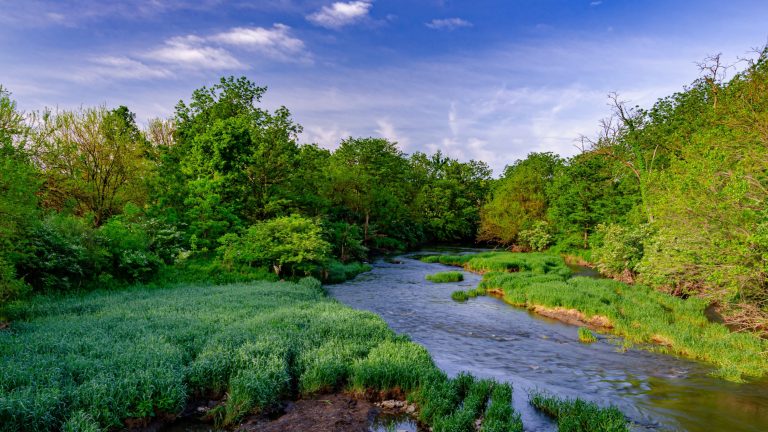 Crest Hill Bike Accident Lawyer