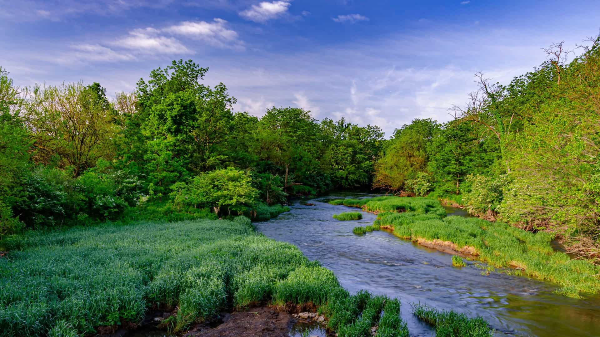 Crest Hill Uber Accident Lawyer