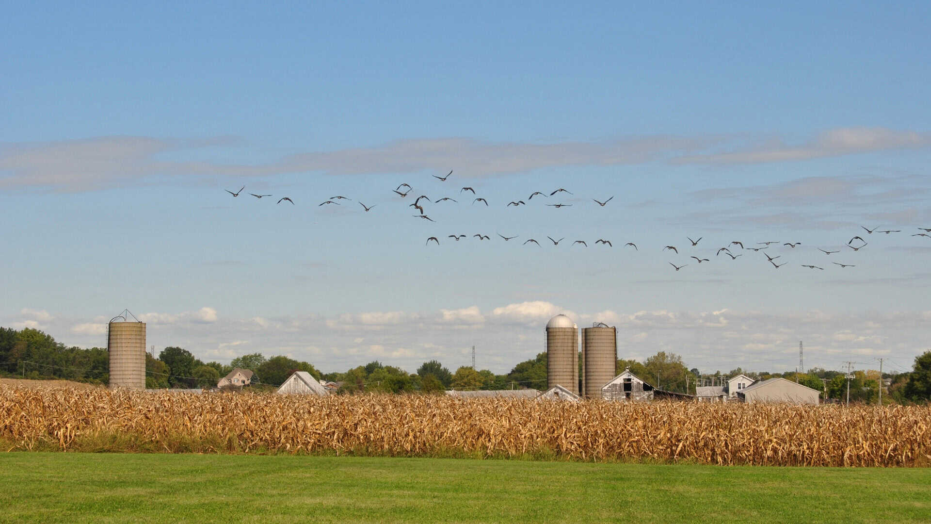 Homer Glen Motorcycle Accident Lawyer