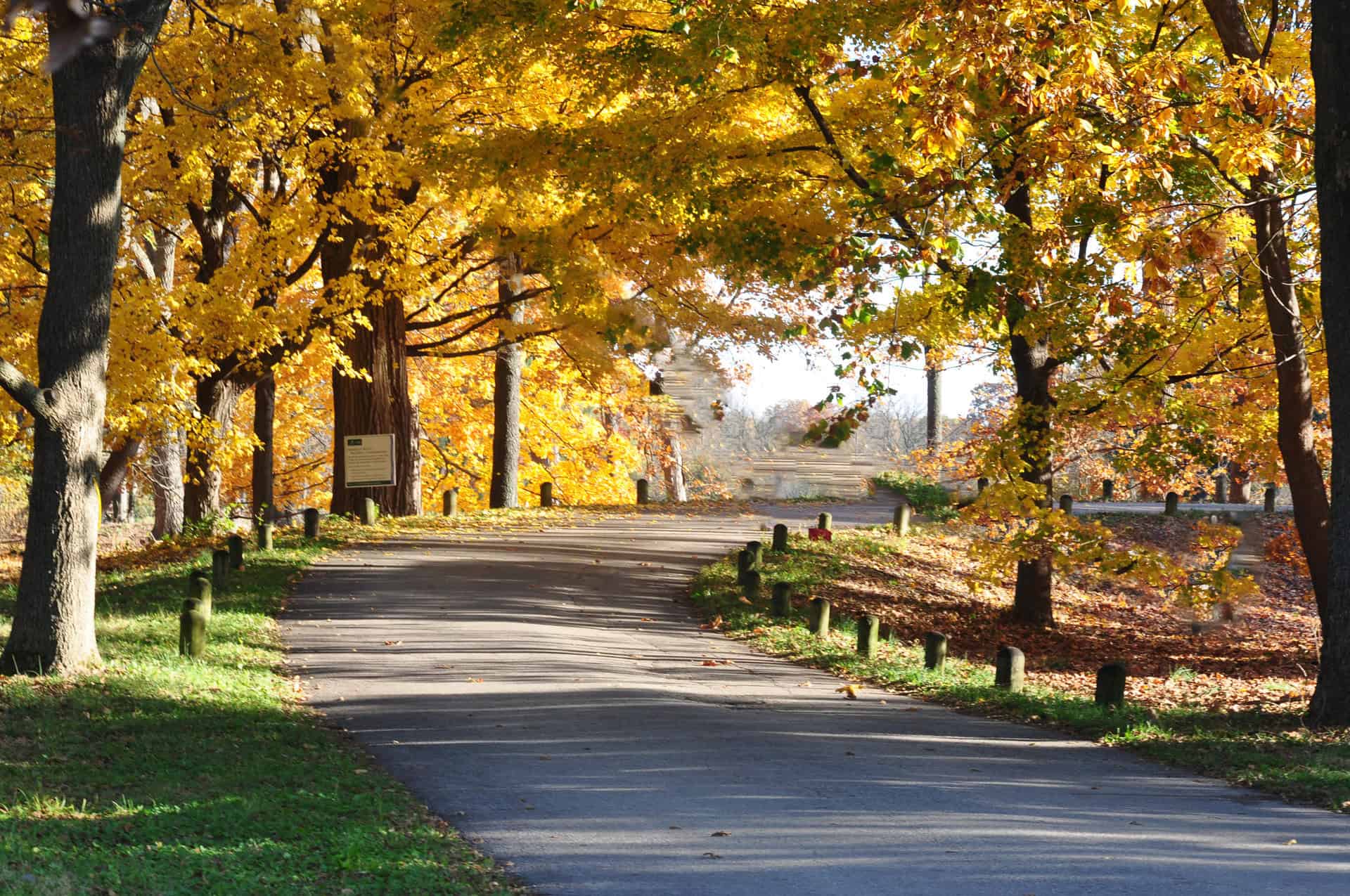 Lisle Motorcycle Accident Lawyer