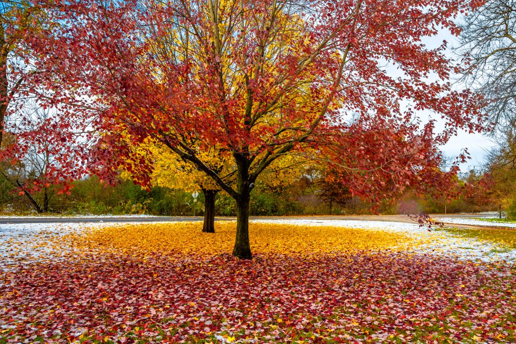 South Elgin Pedestrian Accident Lawyer