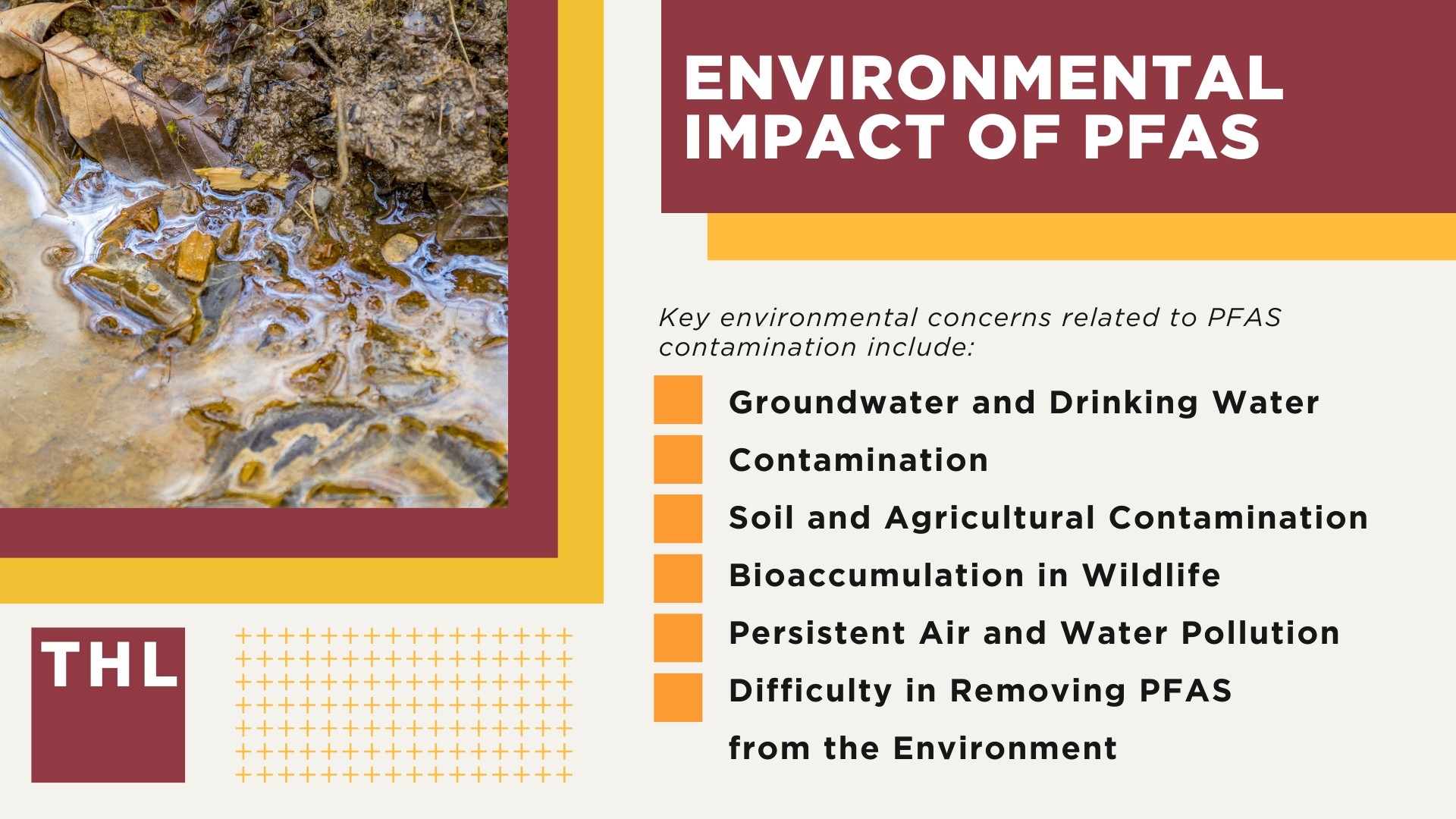 Dangerous Levels of PFAS Chemicals at Fort Moore; PFAS Levels Detected at Fort Benning; What Are PFAS Chemicals and Why Are They Dangerous?; Why Are PFAS Chemicals Dangerous; Environmental Impact of PFAS