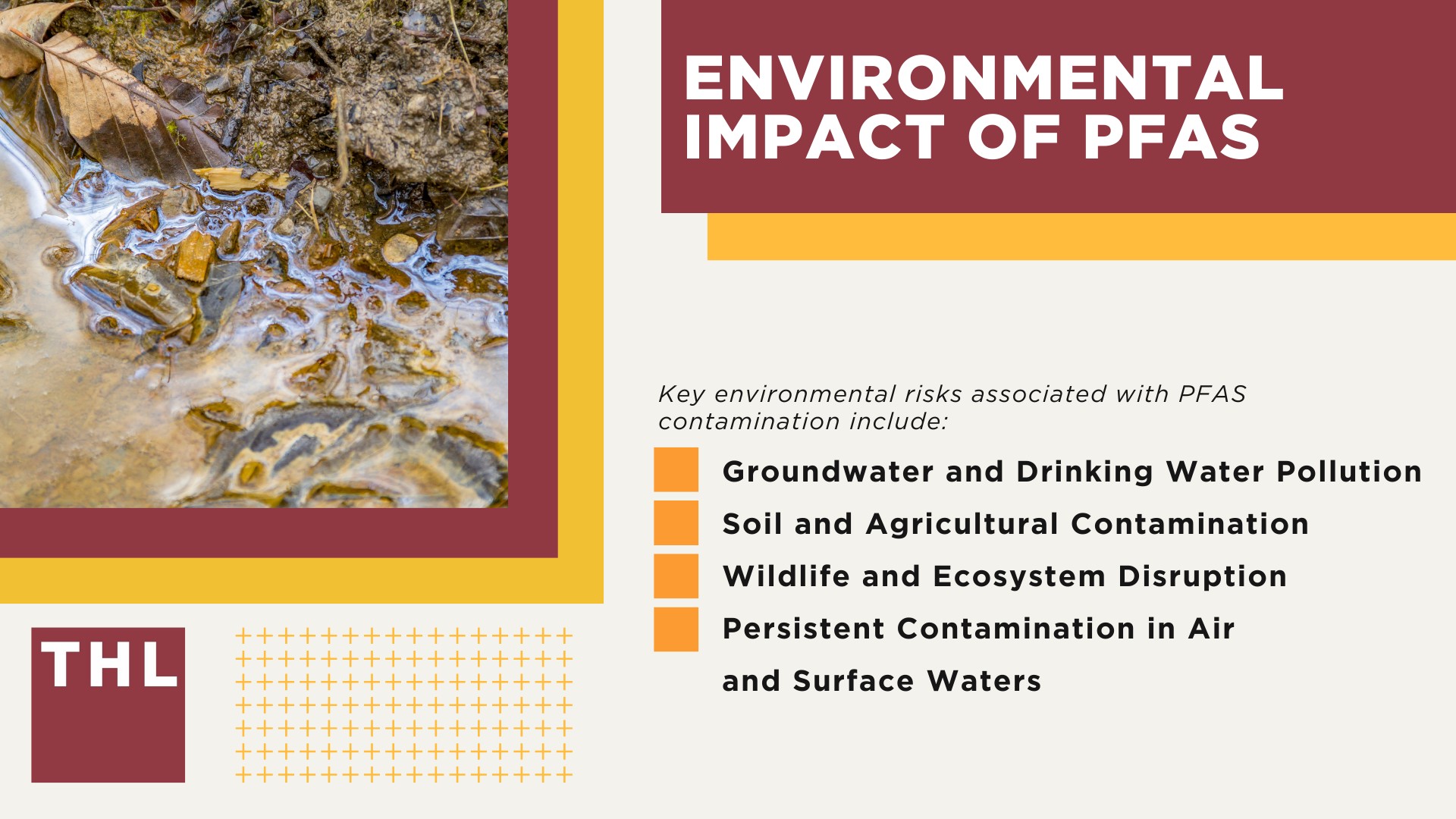 PFAS Chemicals At Dangerous Levels in Pease Air Force Base Groundwater; PFAS Levels Detected at Pease AFB; Impacted Populations at Pease AFB; Addressing PFAS Contamination at Pease AFB; What Are PFAS Chemicals and What Makes Them Dangerous; Health Risks Associated With PFAS Exposure; Environmental Impact of PFAS