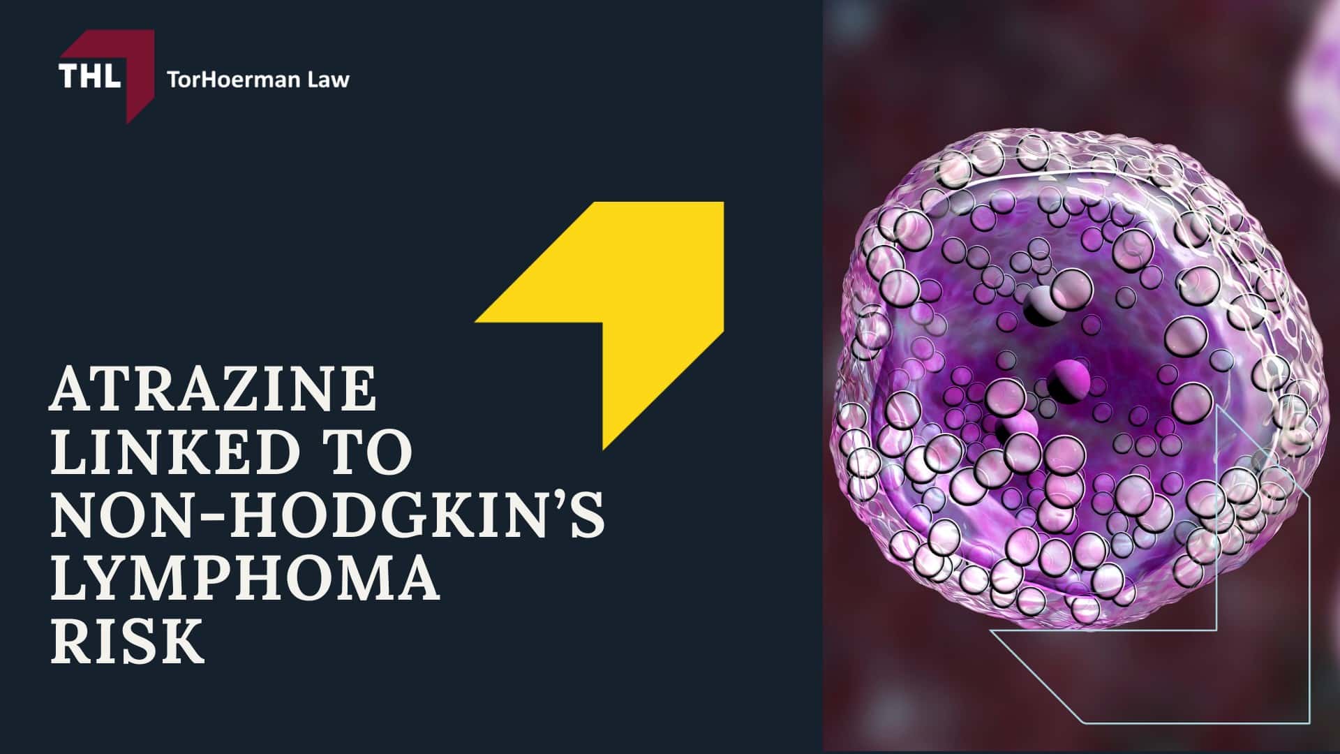 Atrazine Lawsuit - Overview of the Atrazine Lawsuit Investigation - torhoerman law; Atrazine Lawsuit - What is Atrazine - torhoerman law; Atrazine Lawsuit - What Company Produces Atrazine - torhoerman law; Atrazine Lawsuit - Health Risks Associated With Atrazine - torhoerman law; Atrazine Lawsuit - Atrazine Linked to Non-Hodgkin’s Lymphoma Risk - torhoerman law